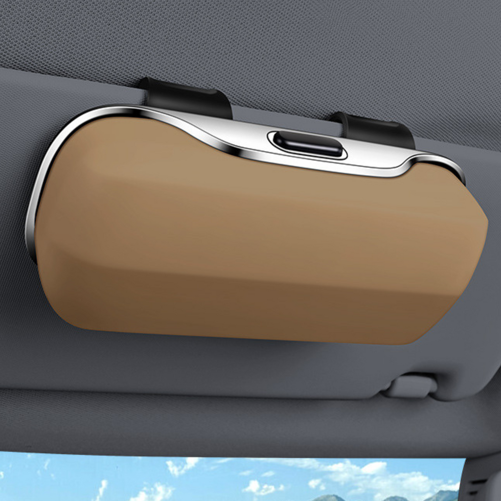 Lux Visor Case